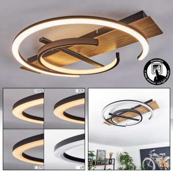Gauvin Plafondlamp LED Bruin, houtlook, Zwart, 1-licht