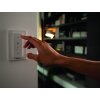 Philips Hue Ambiance White Runner Plafondspot basisset Zwart, 2-lichts, Afstandsbediening