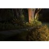 Philips verlichting Spot Tuin spotlight LED Zwart, 1-licht, Kleurwisselaar