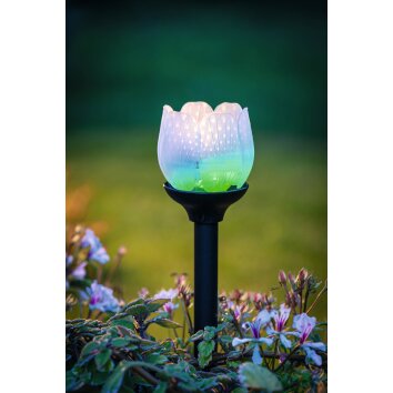 Eglo BLÜTE Solarlamp LED Zwart, 2-lichts, Kleurwisselaar