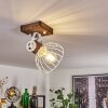 Orny Plafondlamp Bruin, Wit, 1-licht