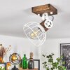 Orny Plafondlamp Bruin, Wit, 1-licht