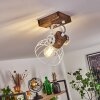 Orny Plafondlamp Bruin, Wit, 1-licht