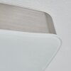 Hutton Plafondlamp LED Nikkel mat, 1-licht