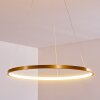 Canisteo Hanger LED Goud, 1-licht