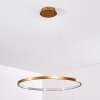 Canisteo Hanger LED Goud, 1-licht