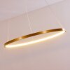 Canisteo Hanger LED Goud, 1-licht