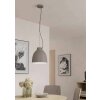 Eglo CAMASCA Hanger Taupe, 1-licht