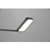 Trio Pavia Tafellamp LED Zwart, 1-licht