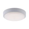 Paul Neuhaus Q-LENNY Plafondlamp LED Wit, 1-licht, Afstandsbediening, Kleurwisselaar