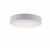 Paul Neuhaus Q-LENNY Plafondlamp LED Wit, 1-licht, Afstandsbediening, Kleurwisselaar