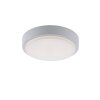 Paul Neuhaus Q-LENNY Plafondlamp LED Wit, 1-licht, Afstandsbediening, Kleurwisselaar