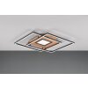 Trio Via Plafondlamp LED Goud, Zwart, 1-licht, Afstandsbediening