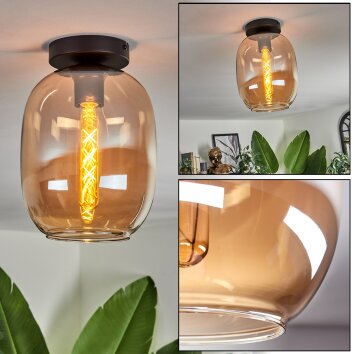 Apedo Plafondlamp - Glas Amber, 1-licht