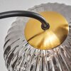 Chehalis Plafondlamp - Glas Goud, Zwart, 6-lichts