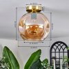 Ripoll Plafondlamp - Glas 25 cm Goud, Zwart, 1-licht