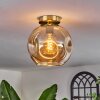 Ripoll Plafondlamp - Glas 25 cm Goud, Zwart, 1-licht