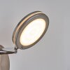 Sarnadinha Wandlamp LED Nikkel mat, 1-licht