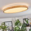 Sofo Plafondlamp LED Wit, 1-licht, Afstandsbediening