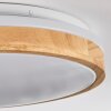 Sofo Plafondlamp LED Wit, 1-licht, Afstandsbediening