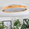 Sofo Plafondlamp LED Wit, 1-licht, Afstandsbediening