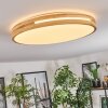 Sofo Plafondlamp LED Wit, 1-licht, Afstandsbediening