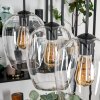 Vevino Hanglamp Zwart, 4-lichts