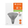 Ledvance E27 LED 13.5 Watt warm wit 1035 Lumen