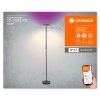 Ledvance Wifi Staande lamp LED Zwart, 1-licht, Kleurwisselaar