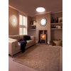 Ledvance Orbis Plafondlamp houtlook, 2-lichts