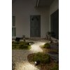 Ledvance Endura Tuin spotlight LED Zwart, 1-licht