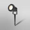 Ledvance Endura Tuin spotlight LED Zwart, 1-licht