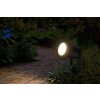 Ledvance Endura Tuin spotlight LED Zwart, 1-licht