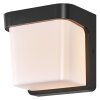 Ledvance Endura Wandlamp voor buiten LED Grijs, 1-licht