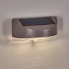 Tolerud Wandlamp voor buiten LED Grijs, Zilver, 1-licht, Bewegingsmelder