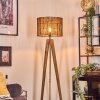 Cando Staande lamp, Leeslamp Natuurlijke kleuren, Zwart, 1-licht