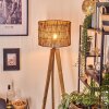 Cando Staande lamp, Leeslamp Natuurlijke kleuren, Zwart, 1-licht