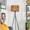 Cando Staande lamp, Leeslamp Zwart, 1-licht