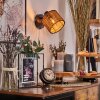 Cando Wandlamp, Muurspot Zwart, 1-licht