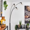 Ripoll Staande lamp Duidelijk, 3-lichts