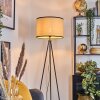 Chellas Staande lamp Zwart, 1-licht