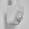 Pohei Wandlamp voor buiten Wit, 1-licht, Bewegingsmelder