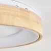 Lockeby Plafondlamp LED Natuurlijke kleuren, Wit, 1-licht, Afstandsbediening