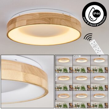 Lockeby Plafondlamp LED Natuurlijke kleuren, Wit, 1-licht, Afstandsbediening