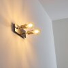 Lagunita Wandlamp Nikkel mat, 2-lichts