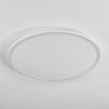 Sani Plafondpaneel LED Wit, 1-licht, Afstandsbediening, Kleurwisselaar
