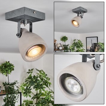 Lomma Plafondlamp, Plafondspot Staal geborsteld, 1-licht