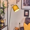 Nobar Staande lamp, Leeslamp Groen, 1-licht