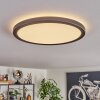 Endrup Plafondlamp LED Zwart, 1-licht