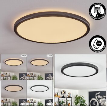 Endrup Plafondlamp LED Zwart, 1-licht